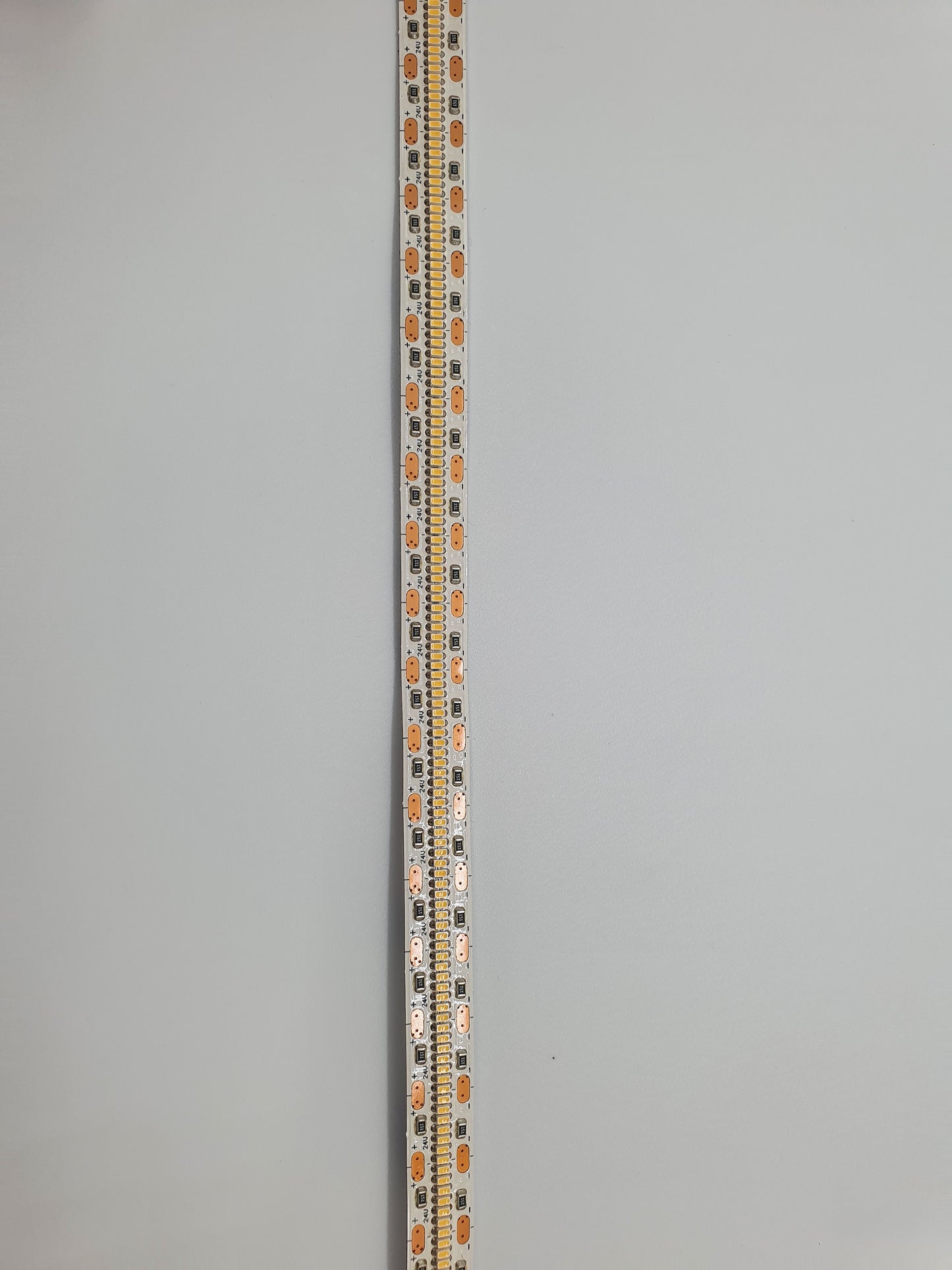 Flex-LED SMD2110 700 LEDs/m CC, IP20